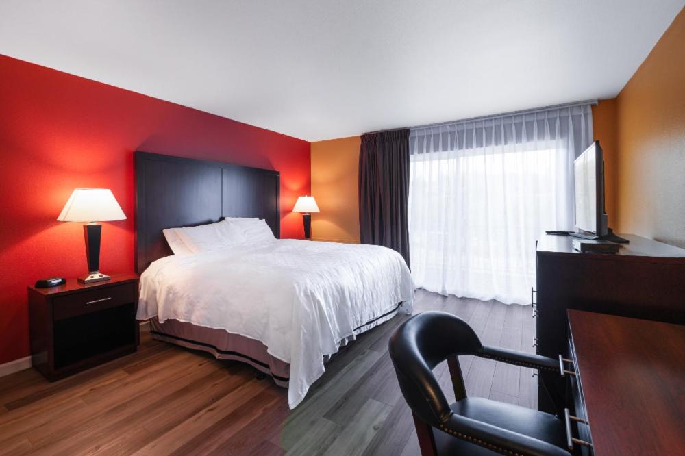 King Room interior